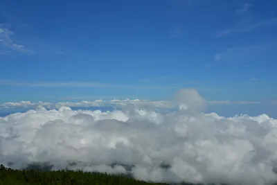 DSC_3636 (Large).JPG